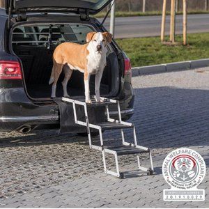 Collapsible dog stairs